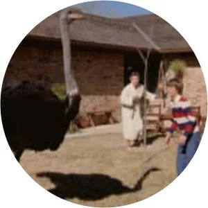 The Beasts Are on the Streets - American television film