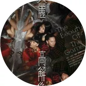 The Beauty of the Game