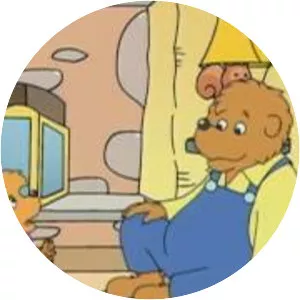 The Berenstain Bears' New Baby