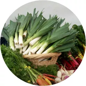 The Best Of . . . - TV program