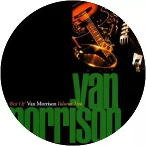 The Best of Van Morrison Volume Two