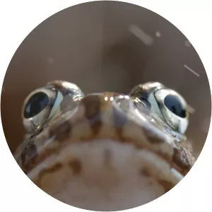 The Big Dry photograph