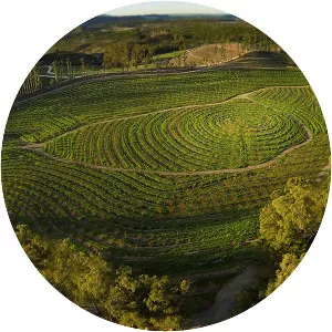 The Biggest Little Farm - 2018 ‧ Documentary ‧ 1h 32m