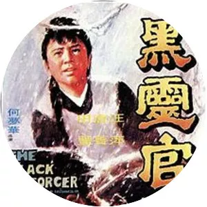 The Black Enforcer - 1972 ‧ Action/Chinese Movies ‧ 1h 36m