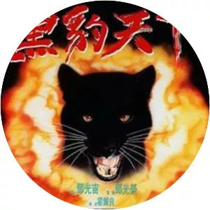 The Black Panther Warriors - 1994 ‧ Crime/Action ‧ 1h 31m