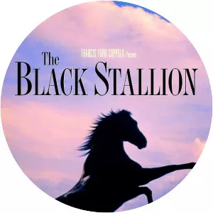 The Black Stallion
