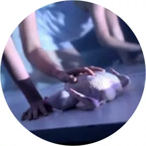 The Blackout Experiments