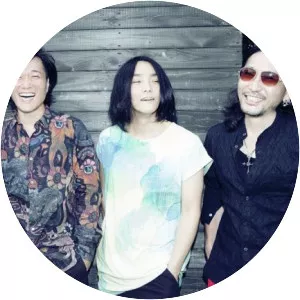 THE BLONDIE PLASTIC WAGON - Musical group