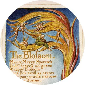 The Blossom