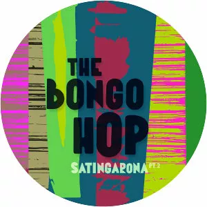 The Bongo Hop - Musical group