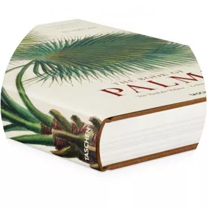 The Book of Palms - Book by Carl Friedrich Philipp von Martius and Hans Walter Lack