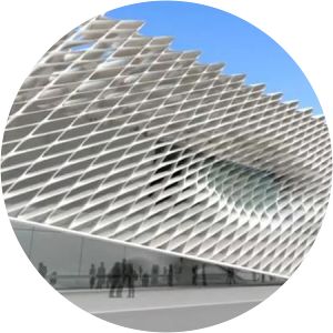 The Broad Art Foundation