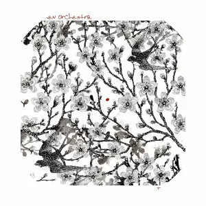 The Broken Orchestra - 