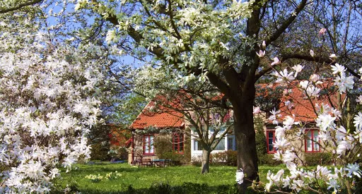 The brokerage Vincent Forssbeck KB