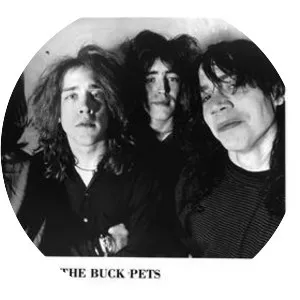 The Buck Pets