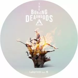 The Burning Deadwoods - Musical artist