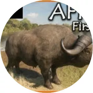 The call of the wild