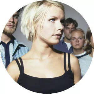 The Cardigans