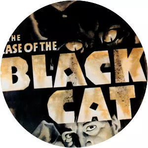 The Case of the Black Cat