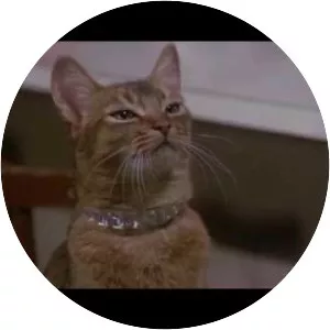 The Cat from Outer Space - 1978 ‧ Comedy/Sci-fi ‧ 1h 44m