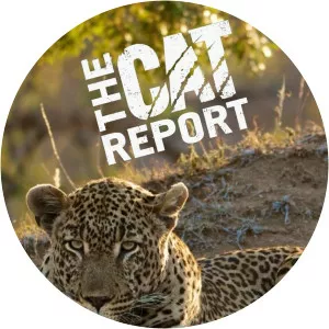 The Cat ReportSince 2020