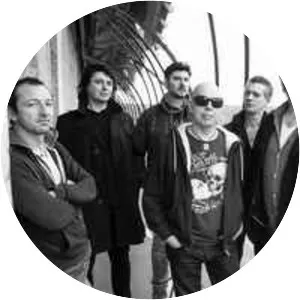 The Celtic Social Club