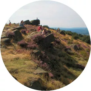 The Chevin