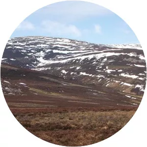 The Cheviot - Summit in England