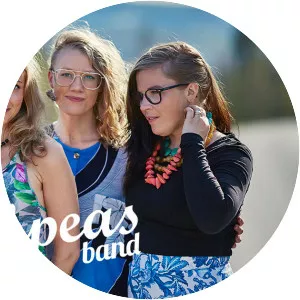 the Chickpeas band - Musical artist