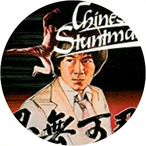 The Chinese Stuntman