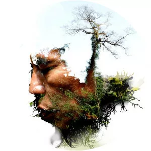 The Chocolate Farmer - 2010 ‧ Documentary ‧ 1h 10m