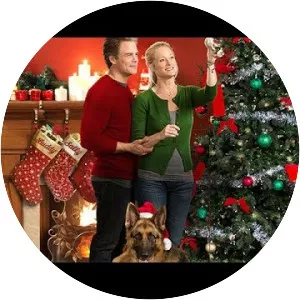 The Christmas Shepherd - Film