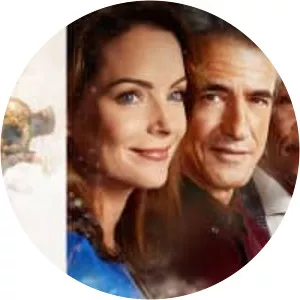 The Christmas Train - Film