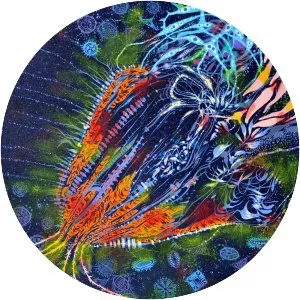 The Classic Crime - Rock band