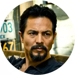 The Cleaner - Television series