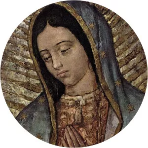 The Cloak of Juan Diego