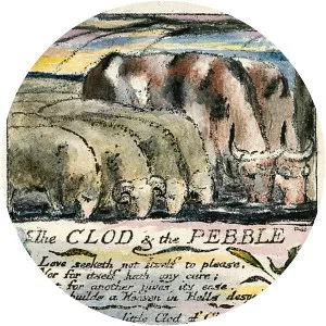 The Clod and the Pebble
