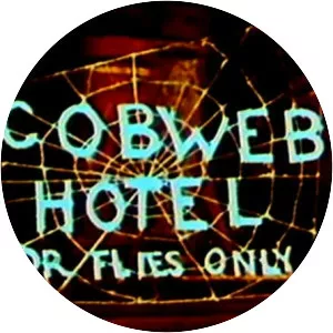 The Cobweb Hotel