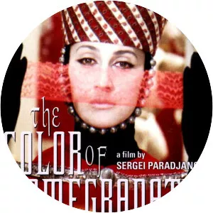 The Color of Pomegranates