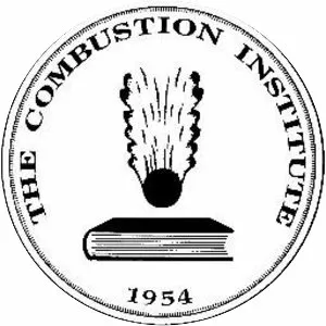 The Combustion Institute
