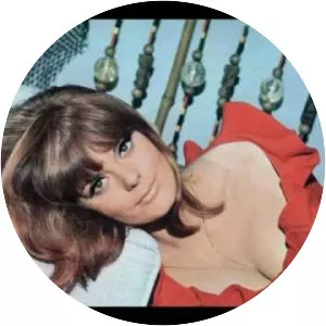 The Continental Co-ets