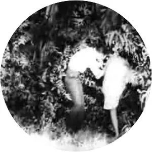 The Creeping Terror photograph