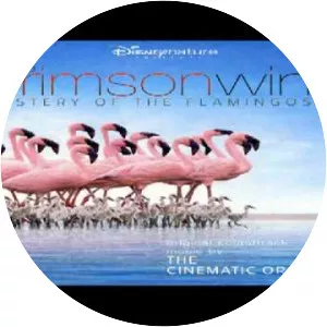 The Crimson Wing: Mystery of the Flamingos - 2008 ‧ Documentary ‧ 1h 40m