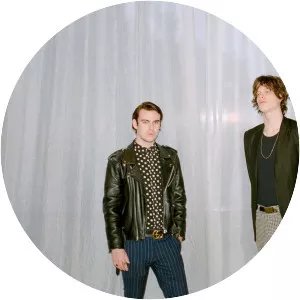 the Criticals - Musical artist