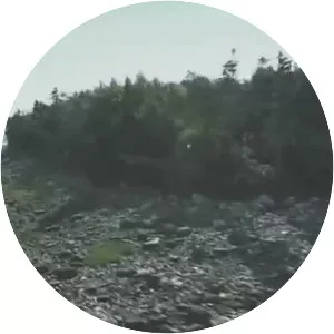 The Curse of Oak Island