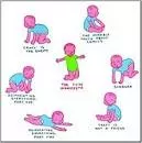 The Cute Manifesto - Book by James Kochalka