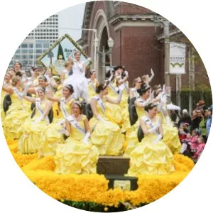 The Daffodil Festival - 