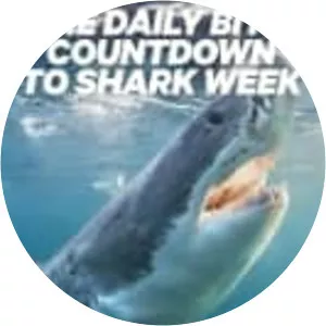 The Daily Bite: Countdown to Shark Week - TV program