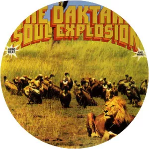 The Daktaris - Orchestra