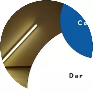 The Dan Flavin Art Institute